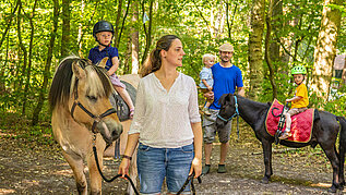 Zwei Kinder lernen auf Pferden das Reiten in Begleitung der Eltern.
